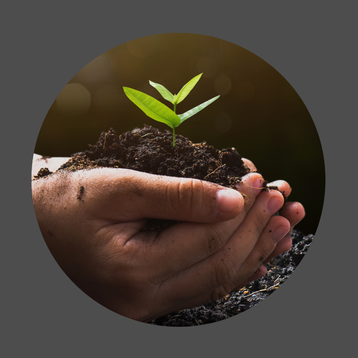 Heal the Planet